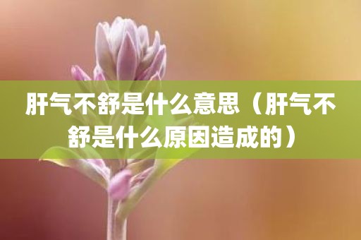 肝气不舒是什么意思（肝气不舒是什么原因造成的）