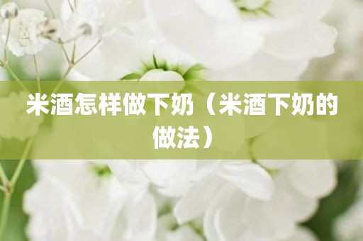 米酒怎样做下奶（米酒下奶的做法）