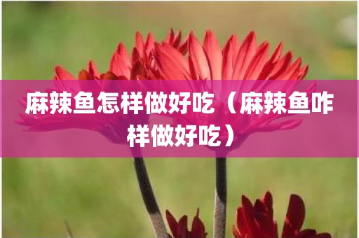 麻辣鱼怎样做好吃（麻辣鱼咋样做好吃）