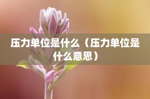 压力单位是什么（压力单位是什么意思）