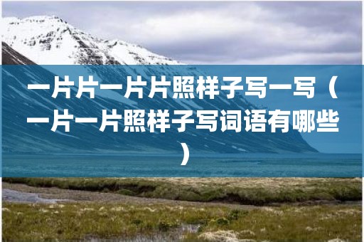 一片片一片片照样子写一写（一片一片照样子写词语有哪些）