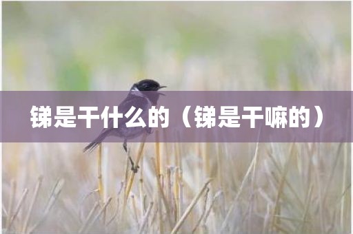 锑是干什么的（锑是干嘛的）