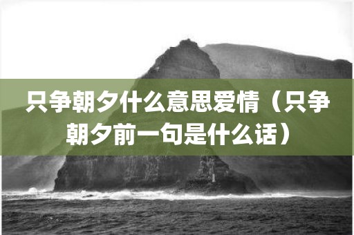 只争朝夕什么意思爱情（只争朝夕前一句是什么话）