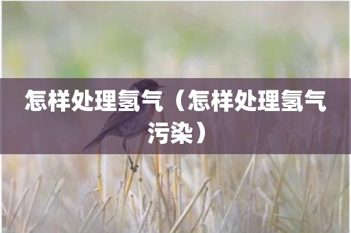 怎样处理氢气（怎样处理氢气污染）