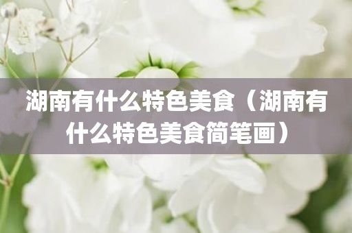 湖南有什么特色美食（湖南有什么特色美食简笔画）