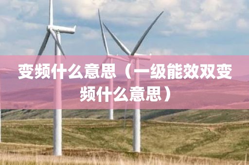 变频什么意思（一级能效双变频什么意思）