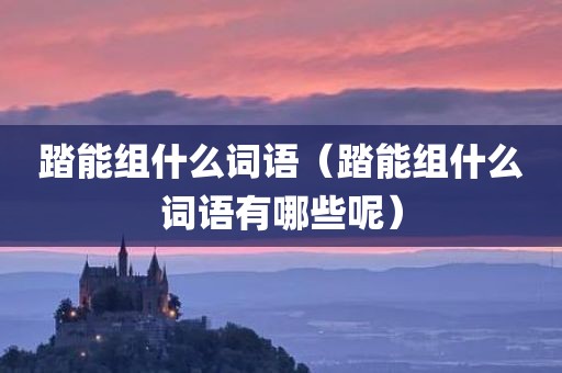 踏能组什么词语（踏能组什么词语有哪些呢）