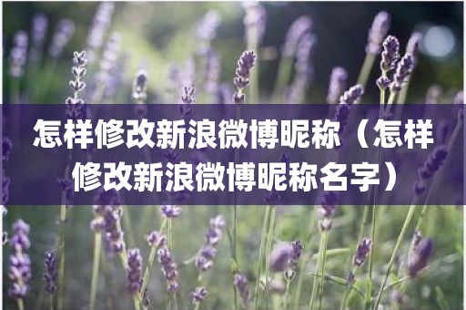 怎样修改新浪微博昵称（怎样修改新浪微博昵称名字）