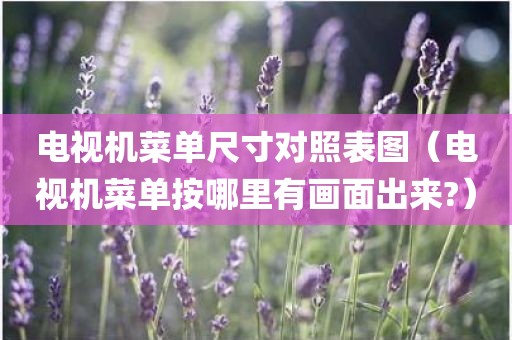 电视机菜单尺寸对照表图（电视机菜单按哪里有画面出来?）