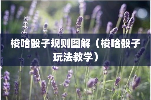 梭哈骰子规则图解（梭哈骰子玩法教学）