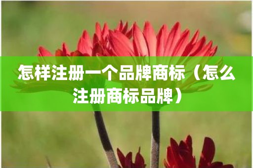 怎样注册一个品牌商标（怎么注册商标品牌）
