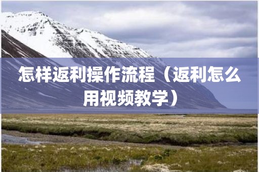 怎样返利操作流程（返利怎么用视频教学）