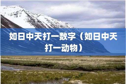 如日中天打一数字（如日中天打一动物）
