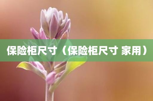保险柜尺寸（保险柜尺寸 家用）