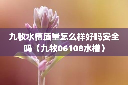 九牧水槽质量怎么样好吗安全吗（九牧06108水槽）