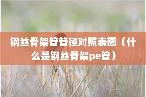 钢丝骨架管管径对照表图（什么是钢丝骨架pe管）