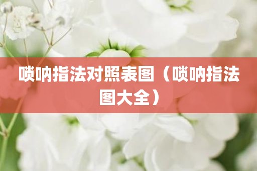 唢呐指法对照表图（唢呐指法图大全）