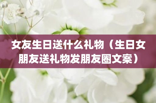 女友生日送什么礼物（生日女朋友送礼物发朋友圈文案）