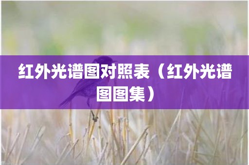 红外光谱图对照表（红外光谱图图集）