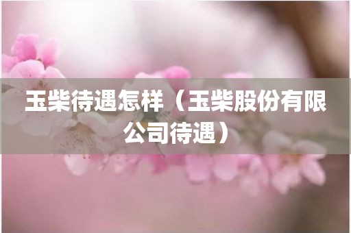 玉柴待遇怎样（玉柴股份有限公司待遇）