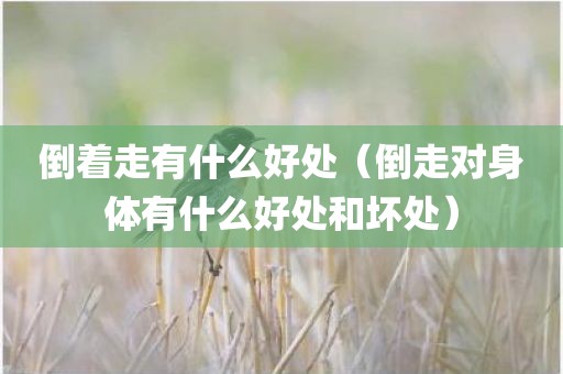 倒着走有什么好处（倒走对身体有什么好处和坏处）