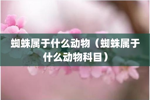 蜘蛛属于什么动物（蜘蛛属于什么动物科目）