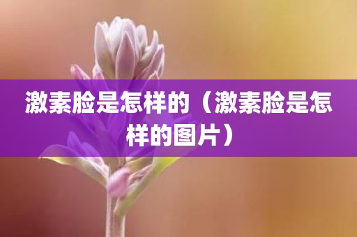 激素脸是怎样的（激素脸是怎样的图片）