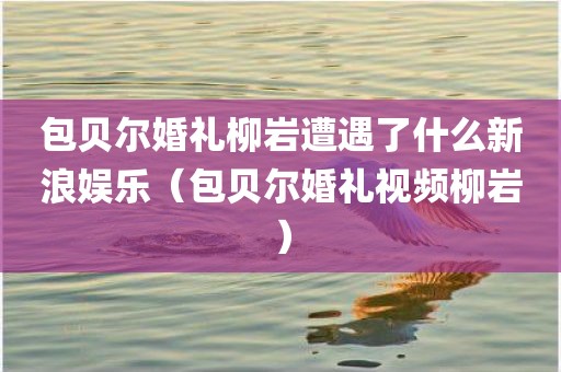 包贝尔婚礼柳岩遭遇了什么新浪娱乐（包贝尔婚礼视频柳岩）