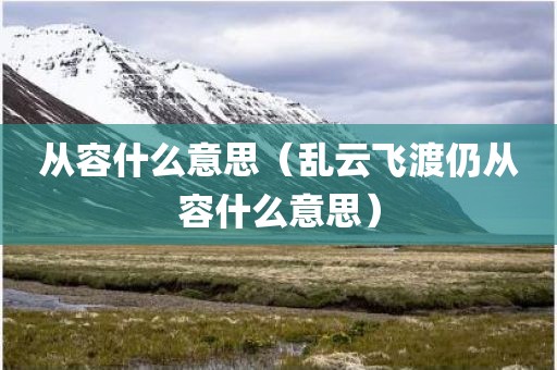 从容什么意思（乱云飞渡仍从容什么意思）