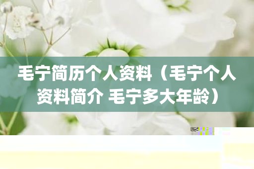 毛宁简历个人资料（毛宁个人资料简介 毛宁多大年龄）