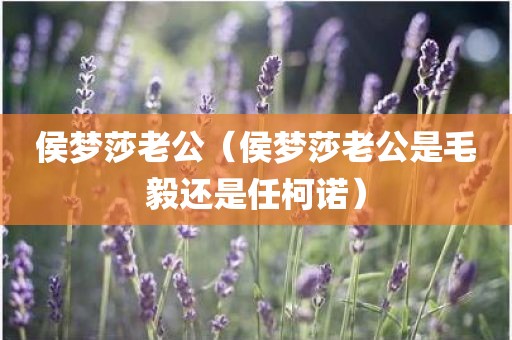 侯梦莎老公（侯梦莎老公是毛毅还是任柯诺）