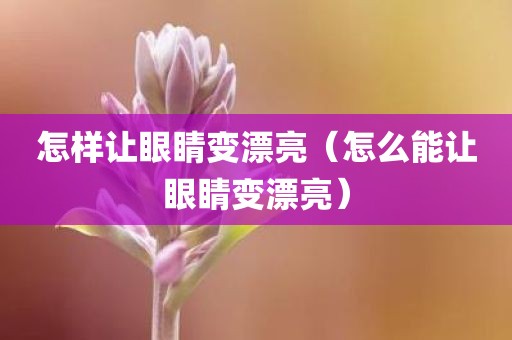 怎样让眼睛变漂亮（怎么能让眼睛变漂亮）