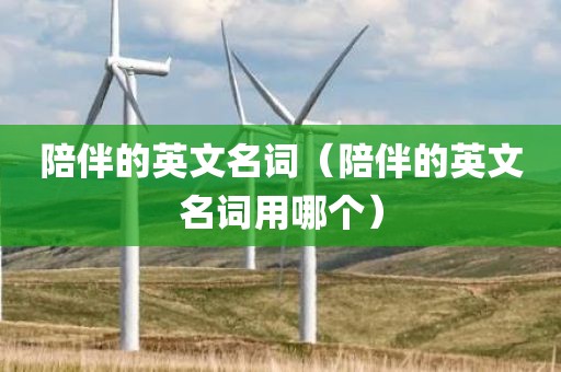 陪伴的英文名词（陪伴的英文名词用哪个）