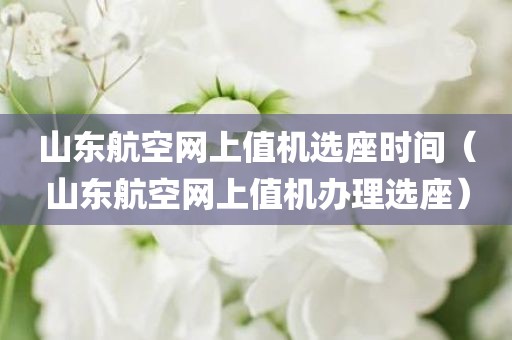 山东航空网上值机选座时间（山东航空网上值机办理选座）