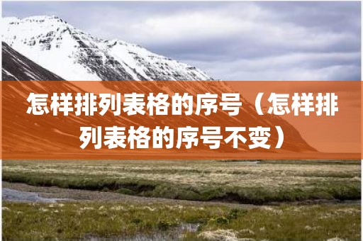 怎样排列表格的序号（怎样排列表格的序号不变）