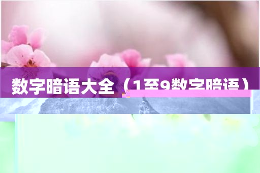 数字暗语大全（1至9数字暗语）