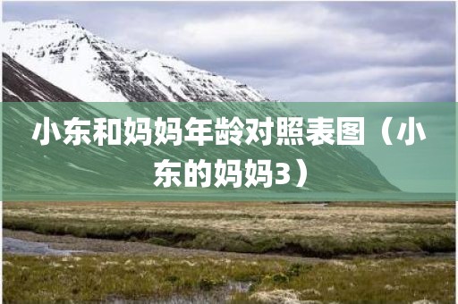 小东和妈妈年龄对照表图（小东的妈妈3）