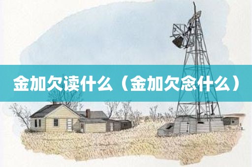 金加欠读什么（金加欠念什么）