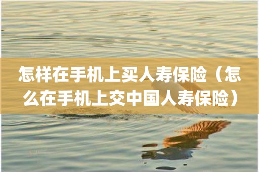 怎样在手机上买人寿保险（怎么在手机上交中国人寿保险）