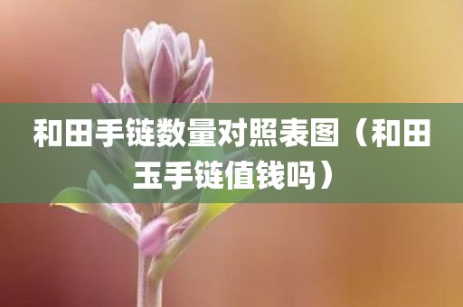 和田手链数量对照表图（和田玉手链值钱吗）