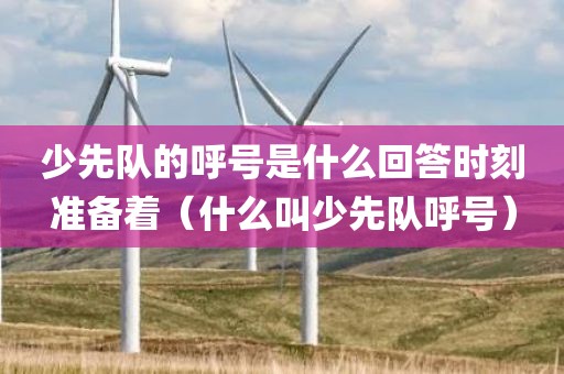 少先队的呼号是什么回答时刻准备着（什么叫少先队呼号）