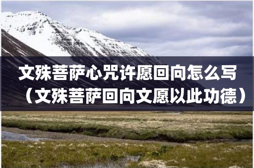 文殊菩萨心咒许愿回向怎么写（文殊菩萨回向文愿以此功德）