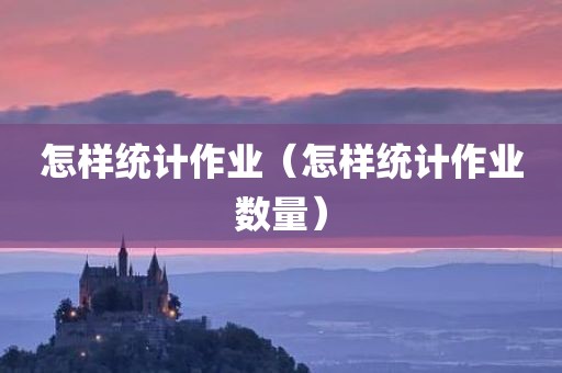 怎样统计作业（怎样统计作业数量）