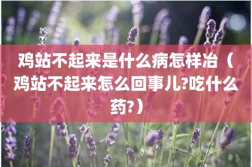 鸡站不起来是什么病怎样冶（鸡站不起来怎么回事儿?吃什么药?）