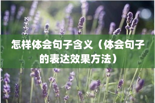 怎样体会句子含义（体会句子的表达效果方法）