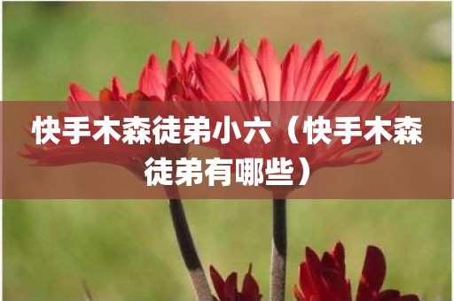 快手木森徒弟小六（快手木森徒弟有哪些）