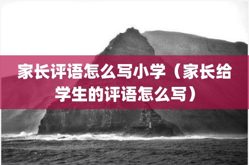 家长评语怎么写小学（家长给学生的评语怎么写）