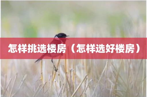 怎样挑选楼房（怎样选好楼房）