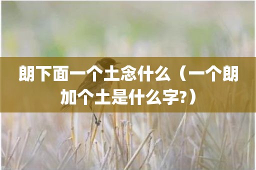 朗下面一个土念什么（一个朗加个土是什么字?）