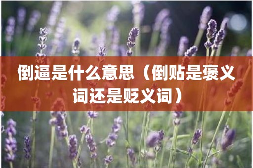倒逼是什么意思（倒贴是褒义词还是贬义词）
